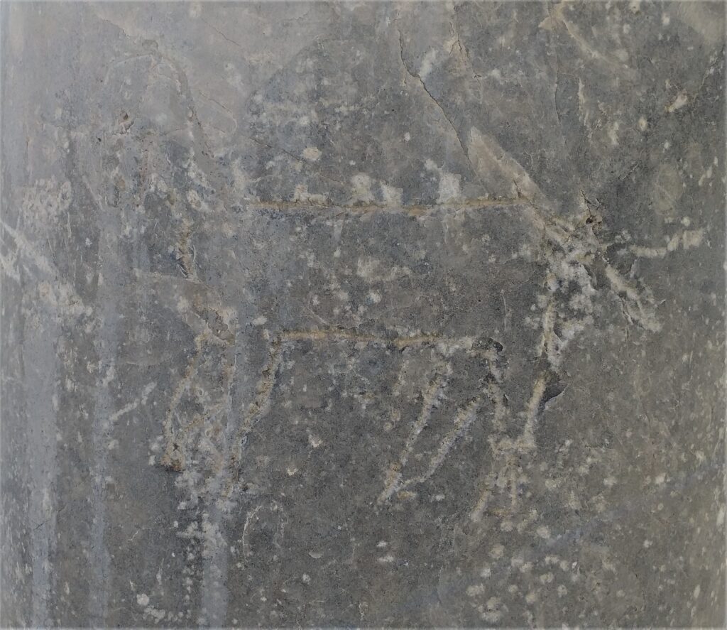 Εγχάρακτος ίππος σε κίονα της «Ρωμαϊκής Αγοράς»